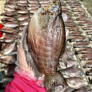 Khô cá sặc bổi 4 nắng (8-9 con/kg)